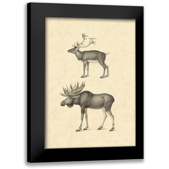 Vision Studio 11x14 Black Modern Framed Museum Art Print Titled - Vintage Elk