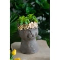 thumbnail image 6 of A&B Home Cat Head with Gold Wreath Magnesium Planter 8.5" x 7.7" x 12.4", 6 of 7