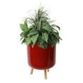 thumbnail image 5 of Algreen Modena 8.5" Self-Watering Planter with Stand, Gloss Red, 5 of 7