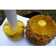 thumbnail image 3 of EQCOTWEA Plastic Pineapple Corer Fruit Coring Tools Slicer, 3 of 5
