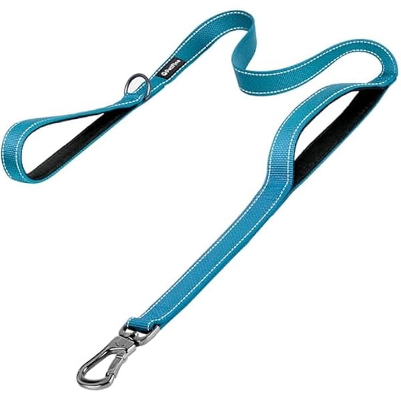 Eryueer 6FT Heavy Duty Dog Leash with Soft Padded Double Handle, Durable Strong Clasp Dog Leashes, Reflective Nylon Walking Lead for Large,Medium,Small Breed Dogs, Blue