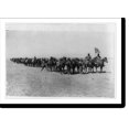 thumbnail image 2 of Historic Framed Print, [U.S. Army Punitive Expedition after Villa, Mexico: Battery C" of the 4th Field Artillery, Mountain Battery holding a drill, with horses and mules]", 17-7/8" x 21-7/8", 2 of 9