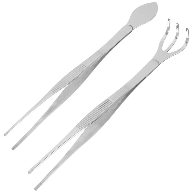 Shisuyan 1 Ensemble de Pinces de Précision Râteau Ensemble Pinces en Acier Inoxydable Râteau Pinces
