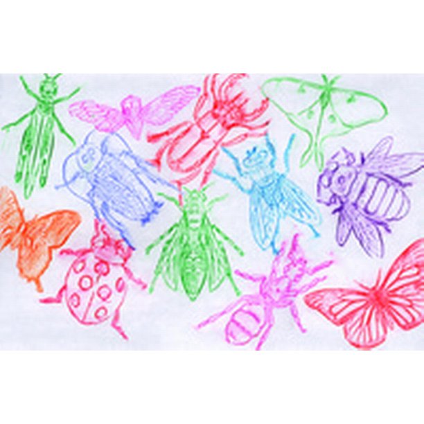 Roylco, RYLR5803, Insect Shape Rubbing Plates, 16 / Pack, Clear