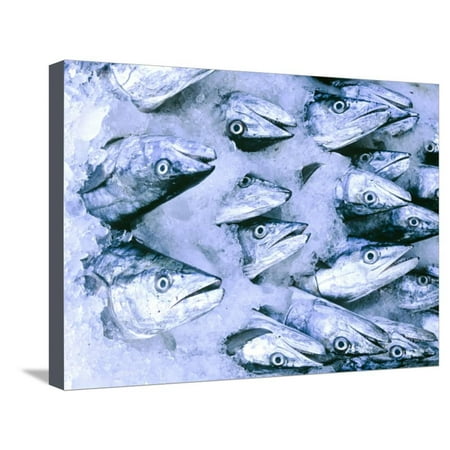 Frozen Fish at the Market in Malpe, Near Udupi, State of Karnataka, South India Stretched Canvas Print Wall Art By Paul (Best Restaurants In Udupi)