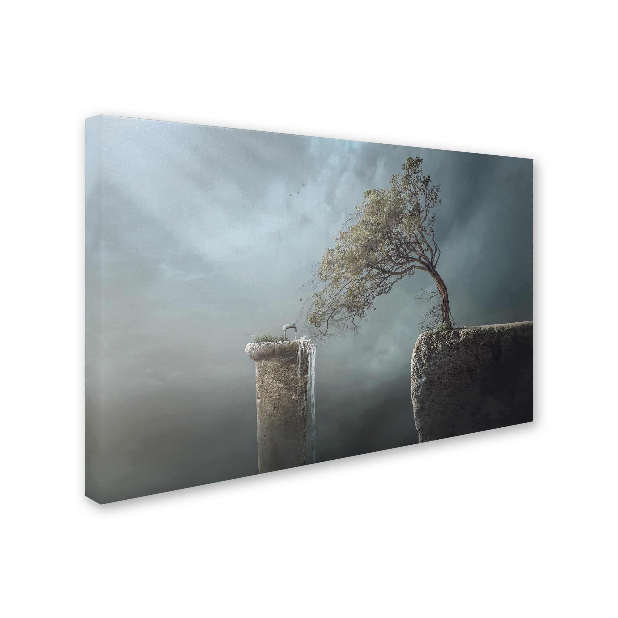 Trademark Fine Art 'Drink Water' Canvas Art by Sulaiman Almawash