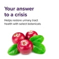 thumbnail image 3 of Vibrant Health Urinary Tract Biotic Vegetable Tablets, Blueberry, 50 Ct, 3 of 9