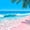 Hot Pink Cyan, variant on Castle Fairy Summer Seashell Still Life Zipper Twin Comforter Sets with Fitted Sheet and 2 Pillowcases,Straw Hat Starfish Palm Sand Illustration Zipper Bedding Set,Tan Blue,Grey Reversible,4-Piece