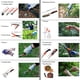 thumbnail image 3 of Juego de herramientas de jardín - 13 piezas de herramientas de jardinería con mango ergonómico resistente con estuche de transporte, rastrillo, pala, rociador y sierra de podar, 3 of 5