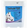 Solitude IGR 6lb