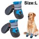 thumbnail image 1 of Black Botas para perros Botines para perros antideslizantes e impermeables, 1 of 4