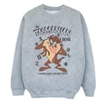 thumbnail image 2 of Looney Tunes Boys Tasmanian Devil Vintage Sweatshirt, 2 of 7