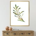thumbnail image 2 of Leaf Rosemary Branch on White 12 in x 20 in Framed Painting Canvas Art Print, by Designart, 2 of 5