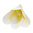 thumbnail image 2 of Room Decor Qwtwty Simulation Flower Head Plastics Flower Head Decoration DIY Handmade Fake Flower Material Simulation Flower Decoration, 2 of 6