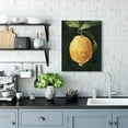 thumbnail image 2 of Stupell Industries Abstract Yellow Lemon on Vine Pop over Black Canvas Wall Art by Emma Caroline, 2 of 6