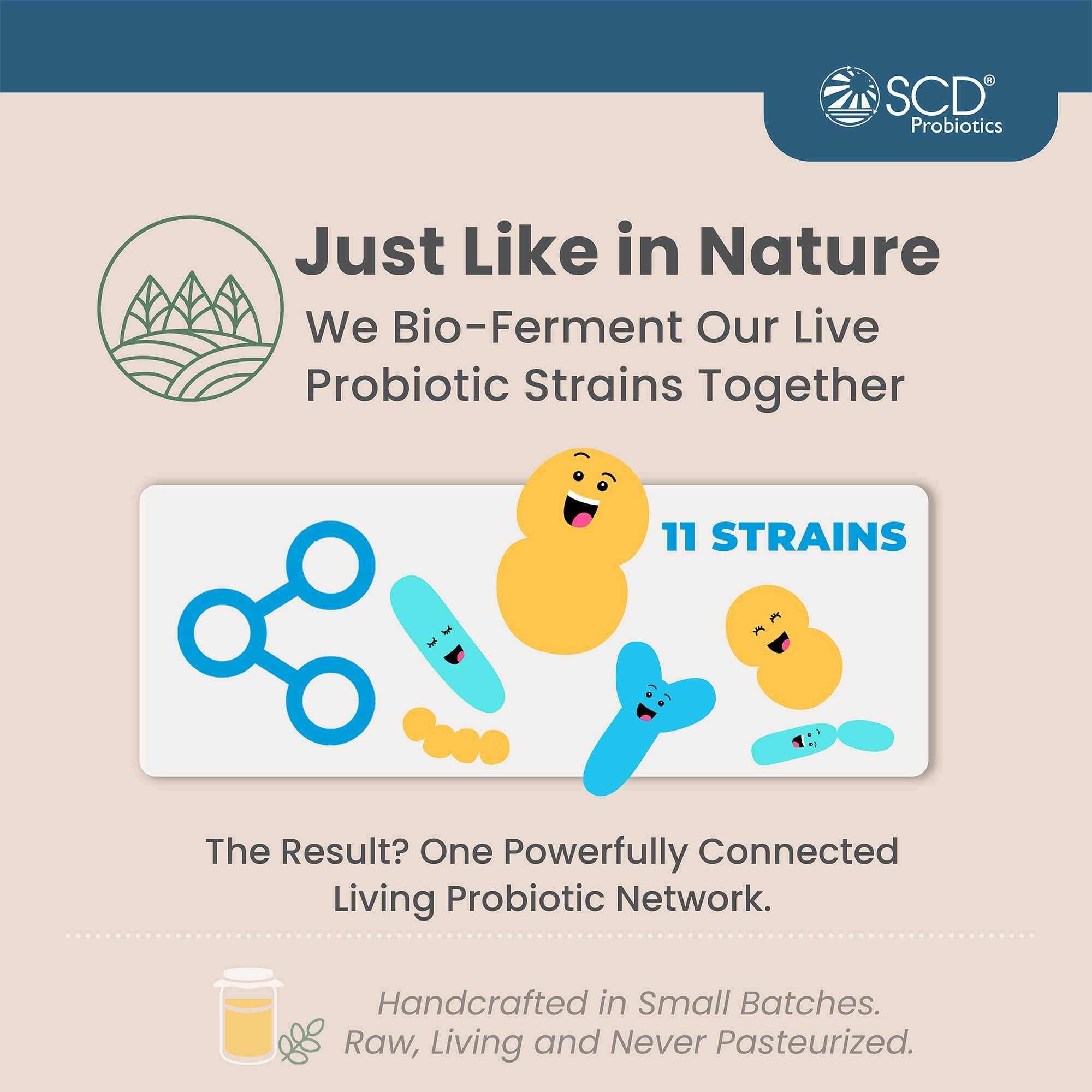 SCD Essential Probiotics, Liquid Probiotic Supplement with 11 Live Strains, 16.3 Fl Oz