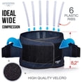 thumbnail image 5 of Back Support Lower Back Brace Provides Back Pain Relief - Breathable Lumbar Support Belt for Men and Women Keeps Your, 5 of 5