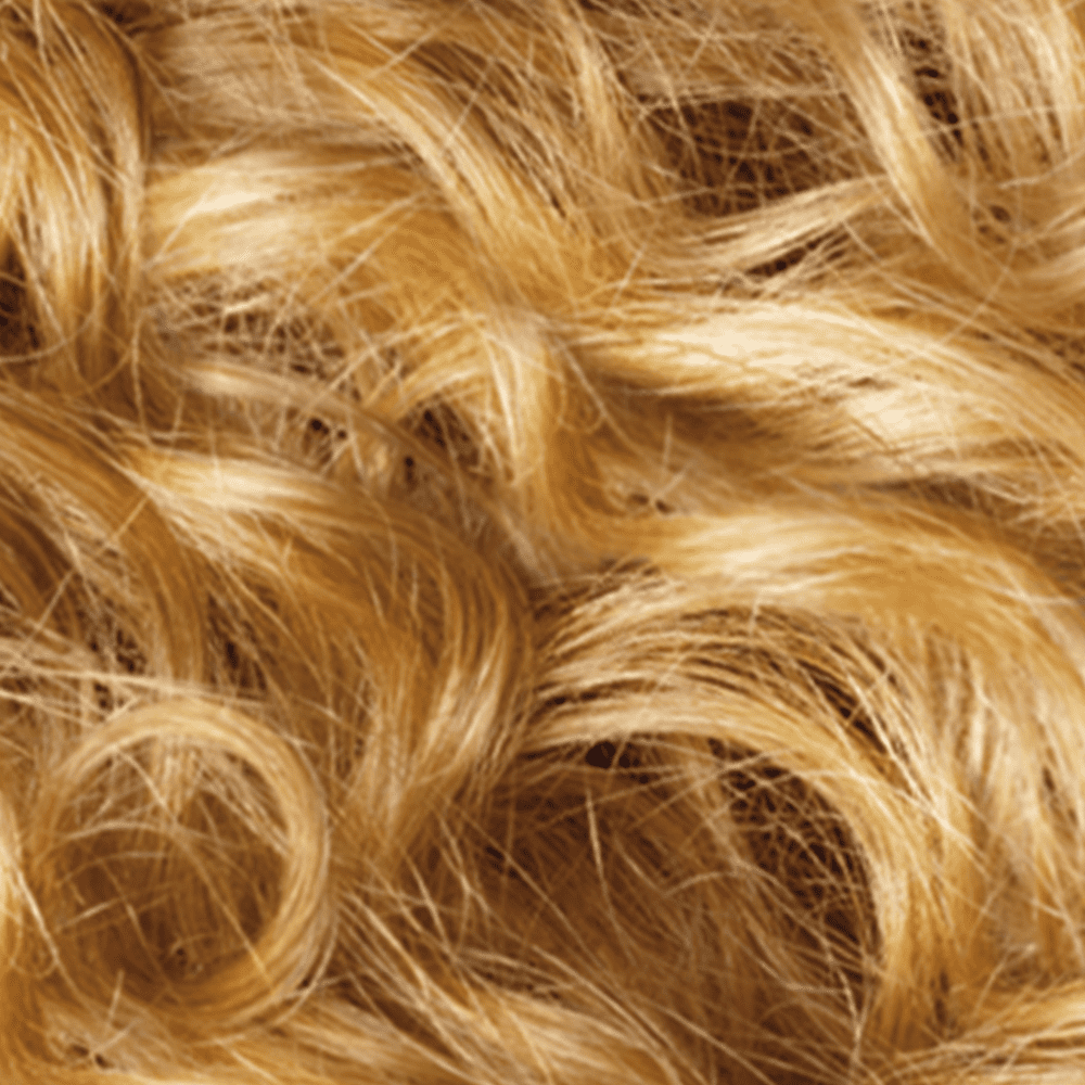 L'Oreal Paris Le Color Gloss One Step In-Shower Toning Gloss Hair Color, Honey Blonde, 4 fl oz