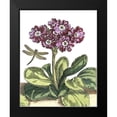 thumbnail image 2 of De Bry, Johann 12x14 Black Modern Framed Museum Art Print Titled - Garden Vignette IV, 2 of 5