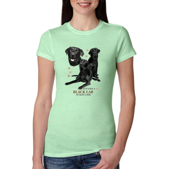 If It's Not a Black Lab It's Just a Dog Gift | Womens Dog Lover Slim Fit Junior Tee, Mint, Small