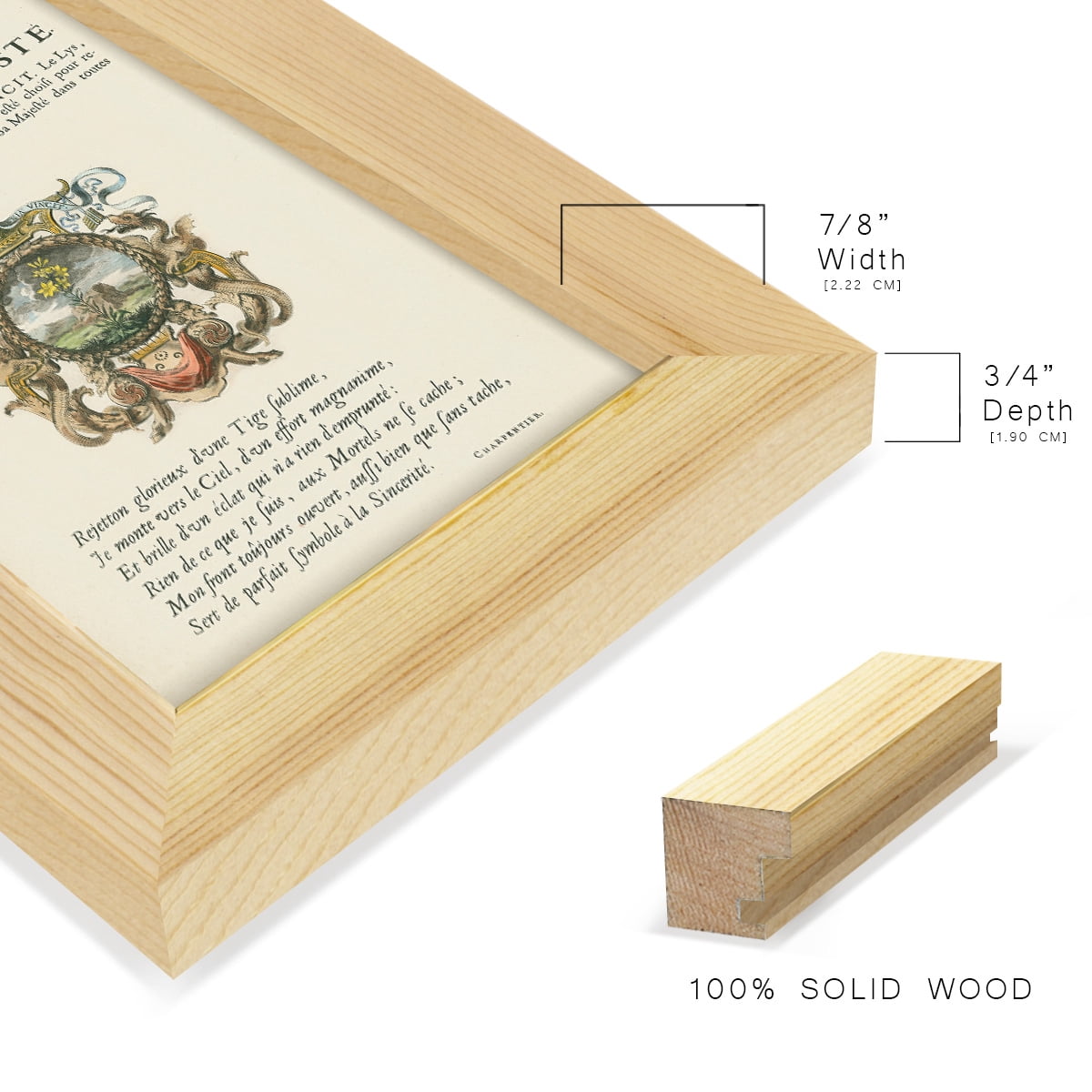Printed Embellished Bookplate VI - Framed Print w/glass - Natural Wood