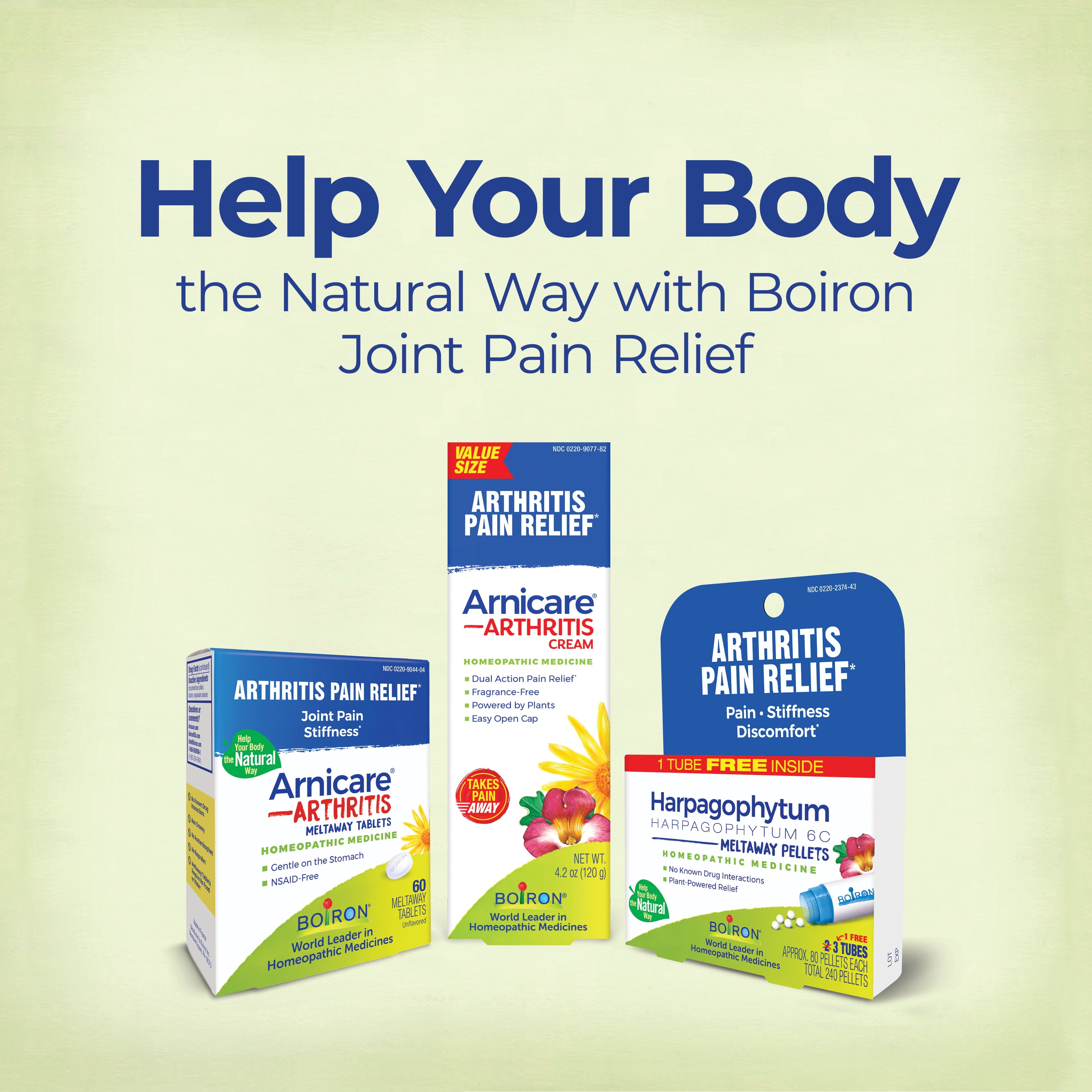 Boiron Arnicare Arthritis Cream with Devil's Claw for Arthritis Pain Relief of Joints, Muscles, Hands or Wrists, Elbow, & Knees, 4.2 oz Pump