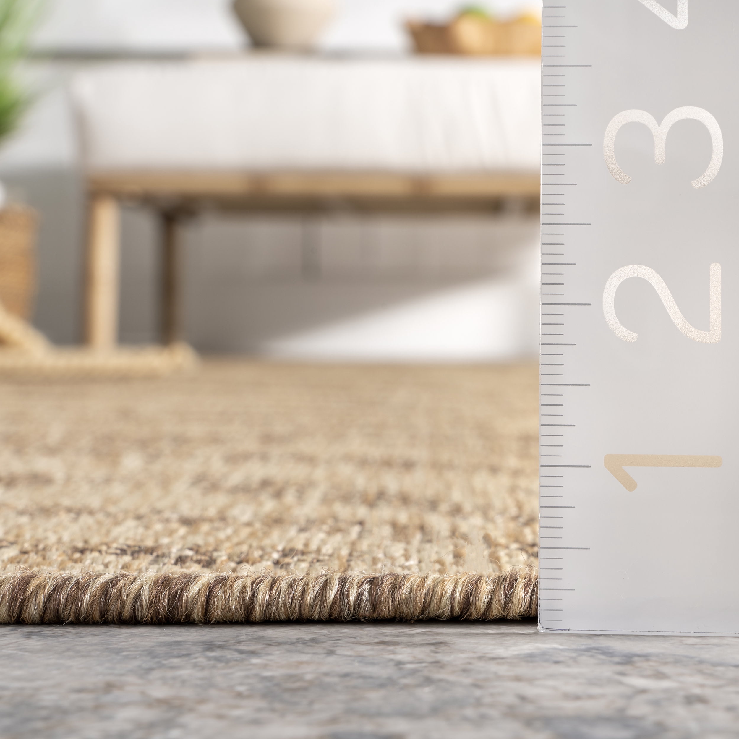 nuLOOM Katrine Zebra Indoor/Outdoor Area Rug, 8' x 10', Beige