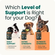 VetriScience Extra Strength Hip & Joint Tablets for Dogs, Chicken, 120ct
