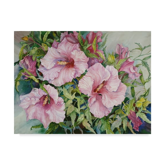 Trademark Fine Art 'Pink Hibiscus' Canvas Art by Joanne Porter
