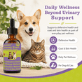 thumbnail image 4 of POLHIDE Urinary Tract Supplement Drops for Dogs & Cats, Core Urinary Support Blend with Cranberry Extract, D-Mannose & L-Theanine, Meat Flavor, 2.1 fl oz / 60 mL, 4 of 8