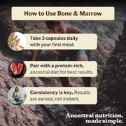 Bone & Marrow - Ancestral Bone Matrix Supplement