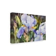 thumbnail image 2 of Trademark Fine Art 'Purple Iris Closeup' Canvas Art by Annelein Beukenkamp, 2 of 3