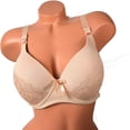 thumbnail image 2 of Iheyi Plus Size 6 Pieces Wired Full Cup Lace Plain Light Padded D/DD/DDD Bra (38DD, 8241), 2 of 4