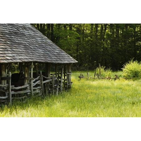 Pottery Barn South Carolina Wooden Barn, Mountain Farm Museum, Great Smoky Mountains National Park, North Carolina, USA Print Wall Art ()