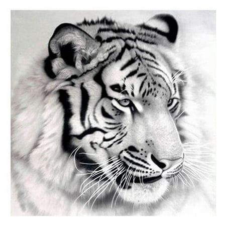 Raypadula Art Painting Tiger Full Drill 5D Diamond Painting Embroidery Cross Stitch Home Decor DIY Gift