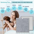 thumbnail image 2 of HE400 Filter Replacements - 2 Packs, Compatible with Purifier 4, True HEPA Cleaner for Home, H13 HEPA, Honey-comb Carbon Pre-Filter, 2 of 6
