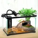 thumbnail image 3 of Pequeño acuario calentador de agua sumergible enchufe estadounidense, termostato automático, 25 W / 50 W (opcional) 50w Sunnimix Dispositivo de calentamiento de acuario pequeño, 3 of 8