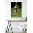 thumbnail image 2 of Famous Kitten Hang In There Poster Wall Poster, 22.375" x 34", 2 of 5