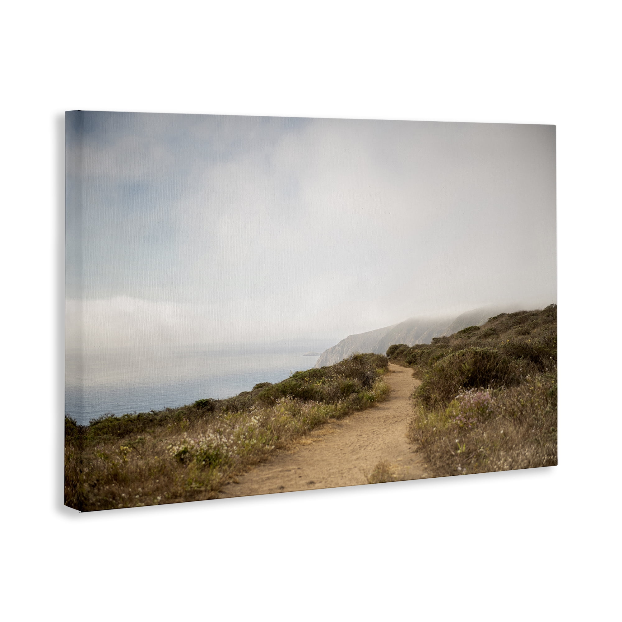 Stupell Industries Wild Coast Pathway Landscape & Nature Photography Wrapped Canvas Art Print Wall Art, 30 x 20