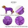 GASTROPOD Dog Accessories,Dog Surgery Suit Female Spay,Dog Apparel