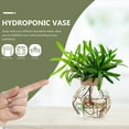 thumbnail image 2 of Miangastore Desktop Plant Terrarium Hydroponic Plant Glass Vase Water Planting Container, 2 of 9