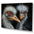 thumbnail image 2 of Designart "Graceful Shadows Of An Ostrich Couple I" Ostriches Canvas Prints, 2 of 7