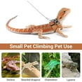 thumbnail image 5 of Zkca Reptiles Harness Leash, 3PCS Adjustable Bearded Dragon Harness with 5.4Ft Leash for Gecko, Bearded Dragon, Iguana, Hamster, Guinea Pig A417, 5 of 7