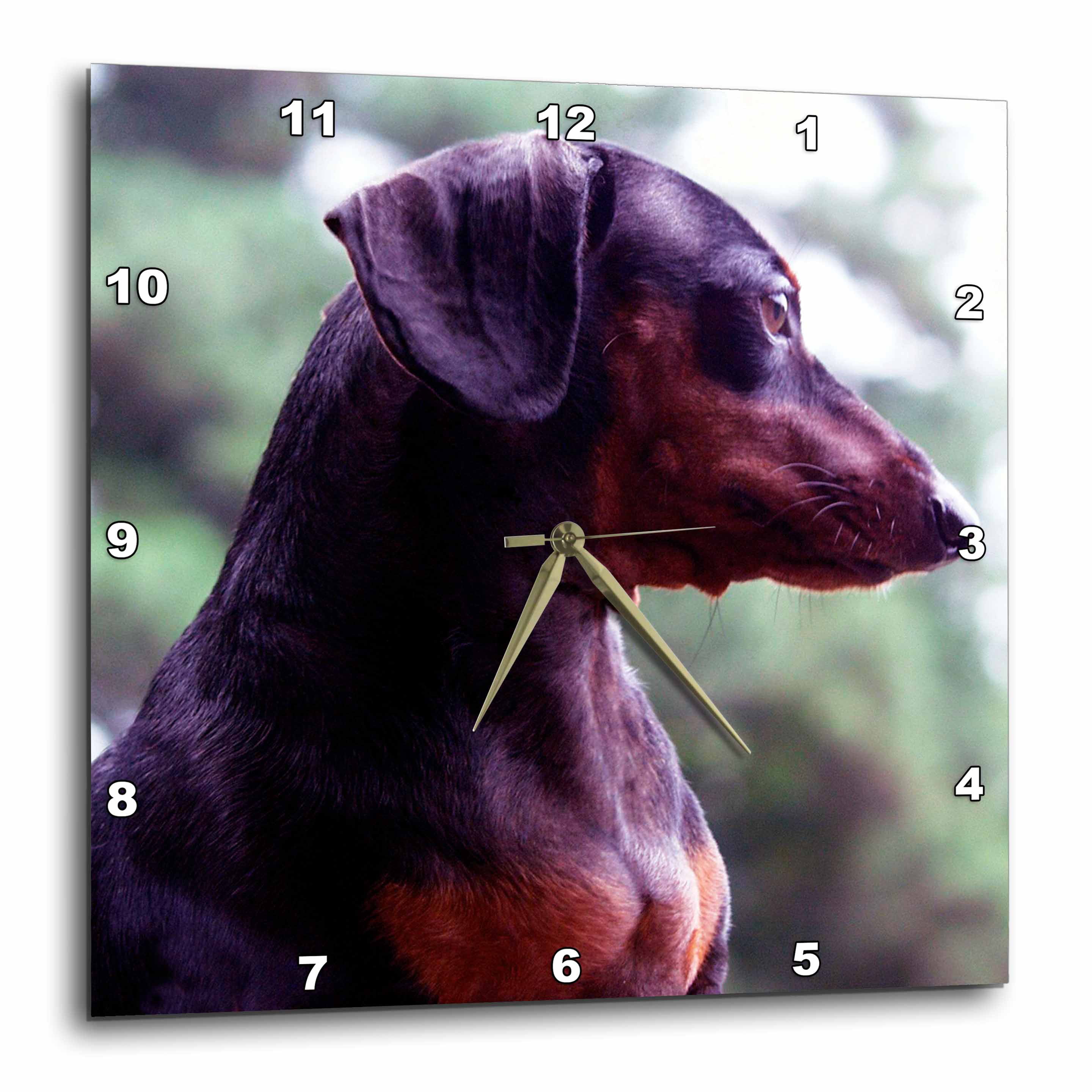 3dRose Weiner Dog with a Sharks Fin-Desk Clock dc_164020_1 6 x 6 6 by 6-inch