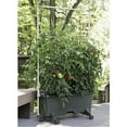 thumbnail image 3 of EarthBox Aluminum 5-foot Staking System for the EarthBox Original Gardening System - Green, 3 of 5