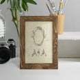 thumbnail image 5 of Shark Study I - Framed Print w/glass - Walnut, 5 of 8