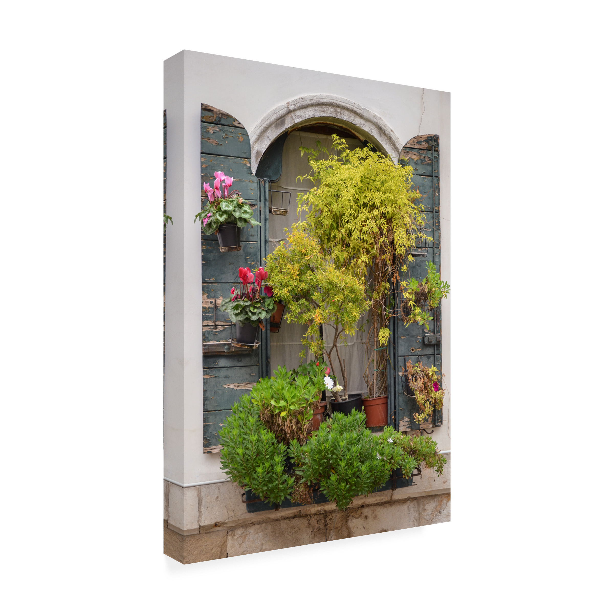 Laura DeNardo 'Italian Window Flowers IV' Canvas Art