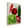 thumbnail image 2 of Unknown 'Antique Seed Packets XI' Canvas Art, 2 of 3