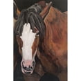 thumbnail image 3 of Redman, Suzi 11x14 Black Modern Framed Museum Art Print Titled - Horse Portrait I, 3 of 5