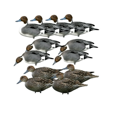 GHG Pro Grade Silhouette Pintail Duck Decoy 12PK